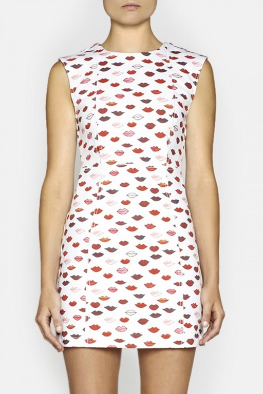 lips camilla and marc cherry