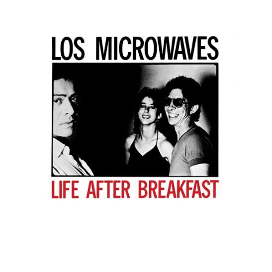 los microwaves band